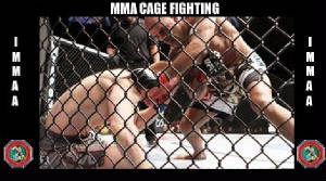 MMA Cage Fighting Associate-Instructor 2nd Degree Black Belt Course