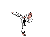 Shotokan Karate 1st Degree Black Belt Course