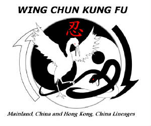 Traditional Wing Chun Kung Fu 1st Degree Black Sash Course