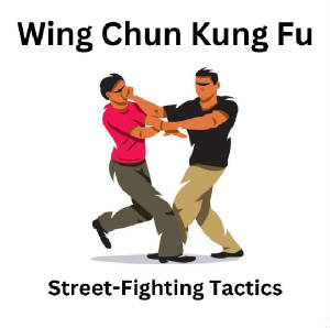 Wing Chun Street-Fighting Tactics 3rd Degree Black Sash Course